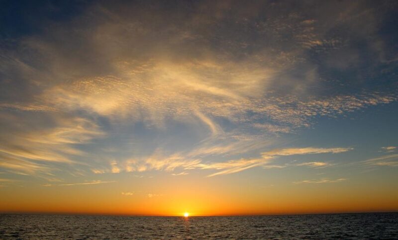 San Jose del Cabo Whale Watching Sunrise Tour - The Value of the Experience