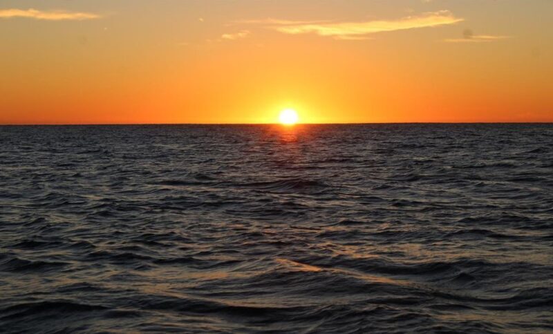 San Jose del Cabo Whale Watching Sunrise Tour - FAQ