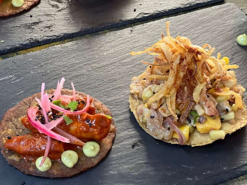 San Jose del Cabo:Alma de Mexico Tacos and Tostadas Tasting - Final Thoughts