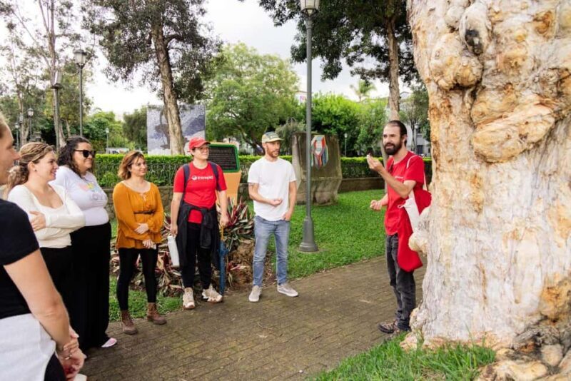 San José: Night Food and Culture Tour with Dinner - FAQ