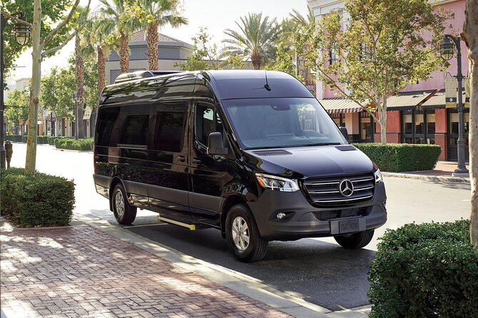 San Juan Airport (SJU) to San Juan Port -Arrival Private Transfer - Accessibility and Requirements