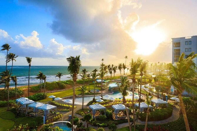 San Juan Airport to Rio Grande and Luquillo Vice Versa One Way Trip - Overview and Service Details