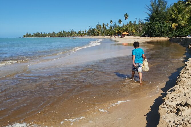 San Juan Airport Transportation to El Conquistador Hotel in Fajardo, PR - Service Overview