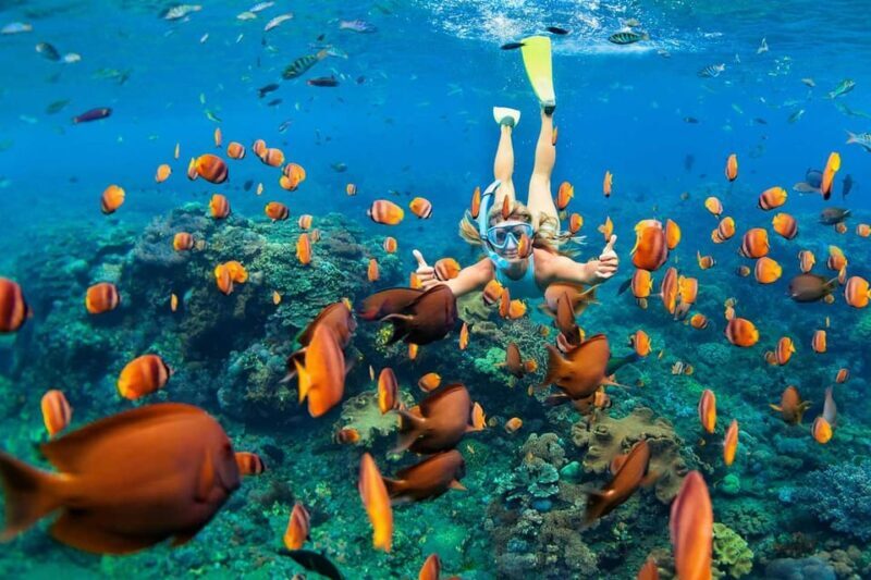 San Juan Beach, Cabo Huertas: Bike tour & snorkel with drink - Introduction: A Unique Coastal Adventure