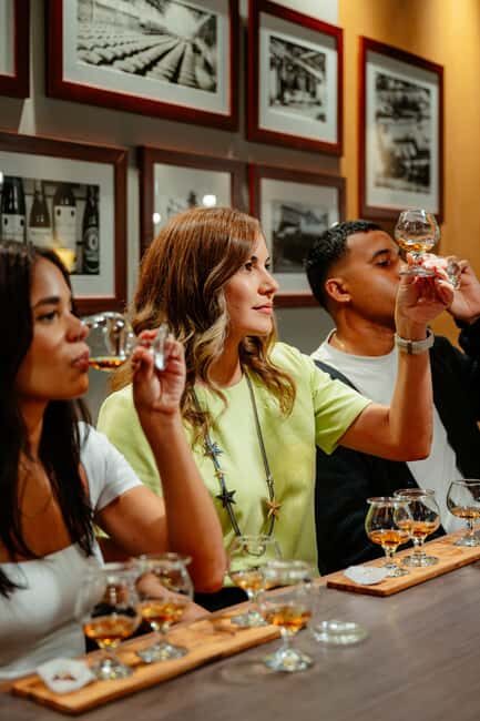 San Juan: Casa Bacardi Distillery Tour - Introduction
