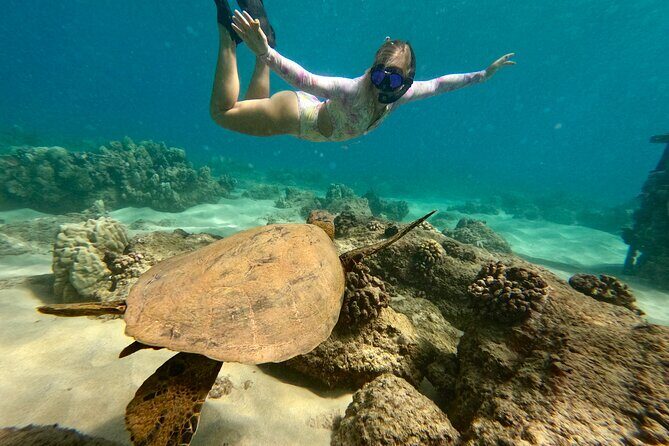 San Juan Guided Snorkel With Turtles Tour and Videos - An Honest Look at the Experience