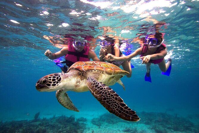 San Juan Guided Snorkeling Experience - With Transport 8am or 3pm - Key Points