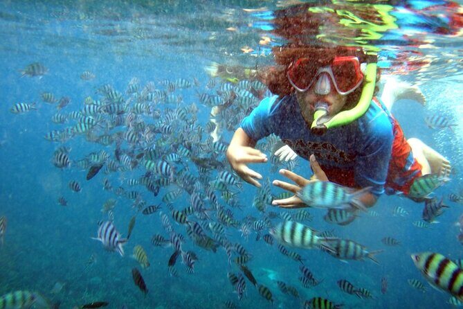 San Juan Guided Snorkeling Experience - With Transport 8am or 3pm - The Details That Matter for Your Trip