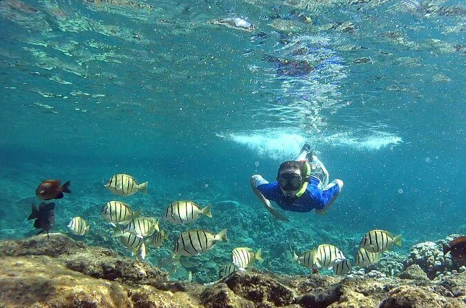San Juan Guided Snorkeling Experience - With Transport 8am or 3pm - Who Will Love This Tour?