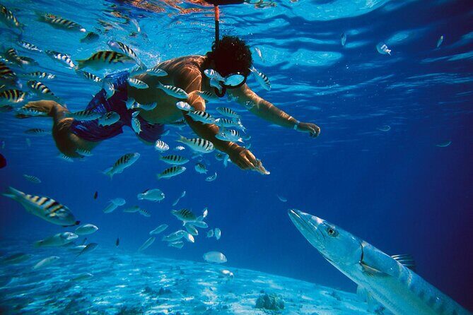 San Juan Guided Snorkeling Experience - With Transport 8am or 3pm - The Sum Up: Is This Snorkeling Tour Worth It?