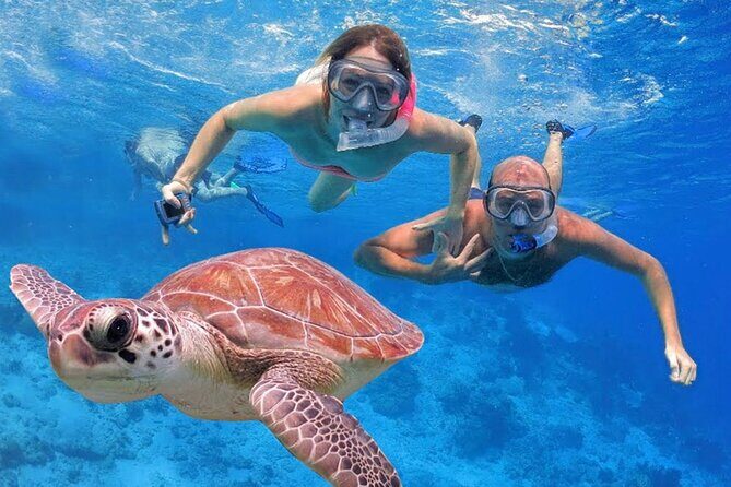 San Juan Guided Snorkeling Experience - With Transport 8am or 3pm - FAQ