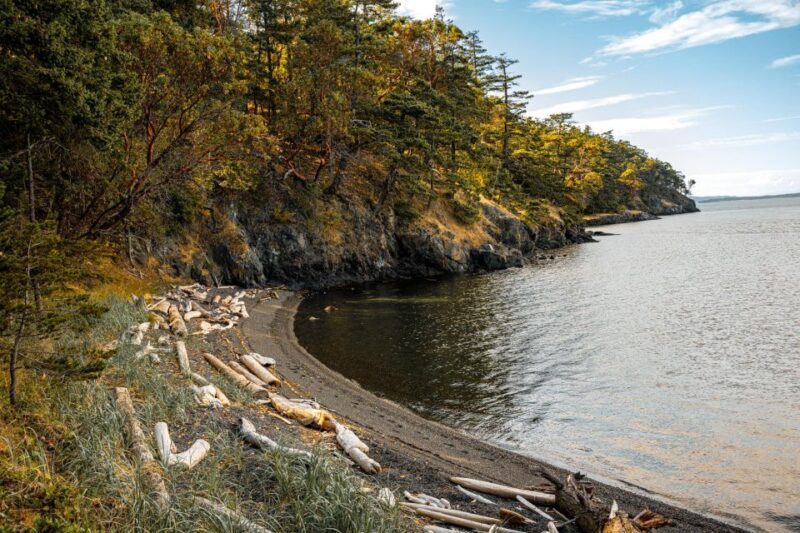 San Juan Island: 3-h Griffin Bay Tour - Who Should Consider This Tour?