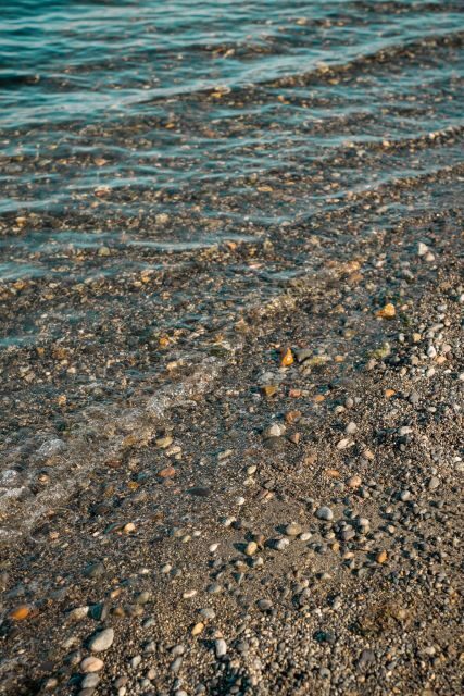 San Juan Island: 3-h Griffin Bay Tour - FAQs