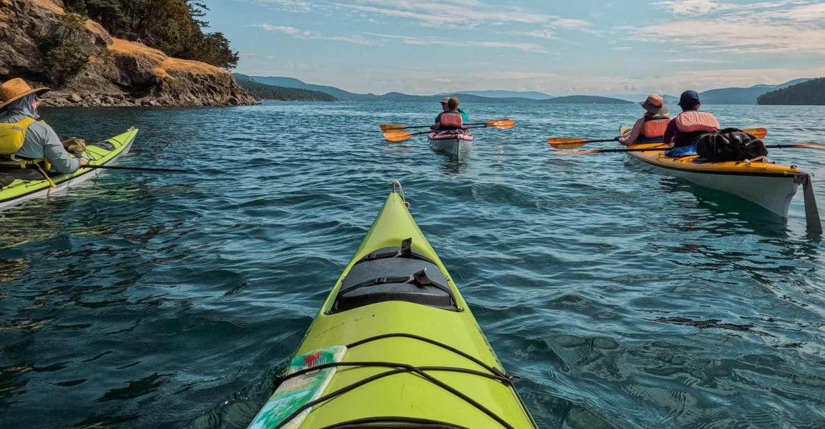 San Juan Island: 3-Hour Kayak Tour - Inclusions and Restrictions