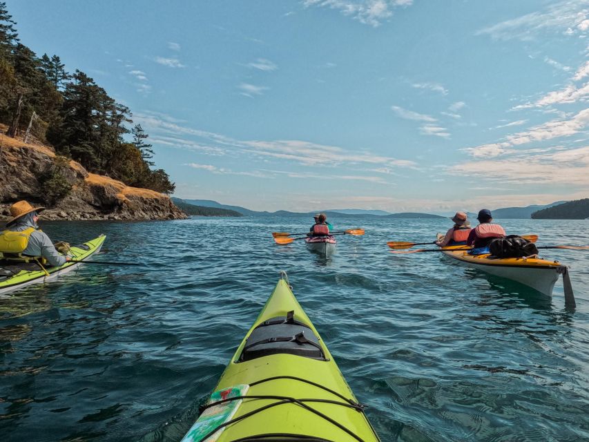 San Juan Island: 3-Hour Kayak Tour - Experiencing the Guided Tour