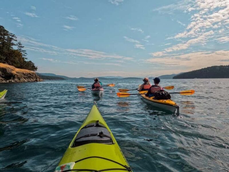 San Juan Island: Half- or Full-Day Lime Kiln Kayak Tour - Key Points