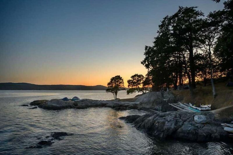 San Juan Island: Half- or Full-Day Lime Kiln Kayak Tour - What Makes This Tour Stand Out