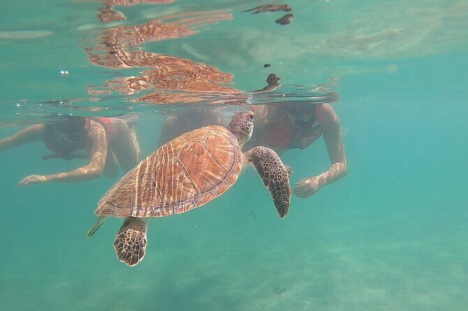 San Juan: Kids and Family Snorkeling Adventure with Videos - Key Points