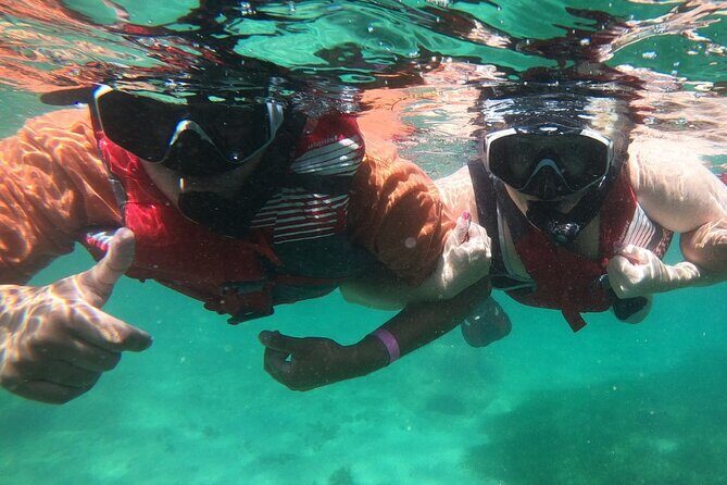 San Juan: Kids and Family Snorkeling Adventure with Videos - The Value for Money  