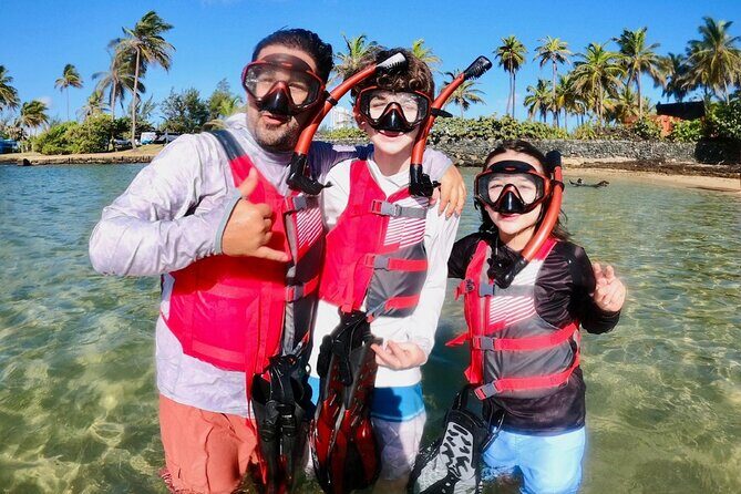 San Juan: Kids and Family Snorkeling Adventure with Videos - The Sum Up: A Genuine Family Adventure in San Juan  