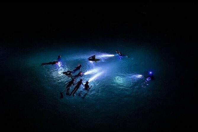 San Juan LED Night Snorkel - The Experiences Strengths and Considerations