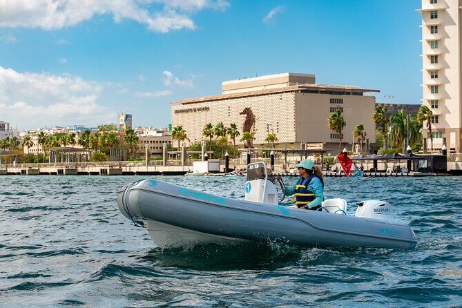 San Juan Mini Boat Tour - Setting the Scene: What to Expect on the San Juan Mini Boat Tour
