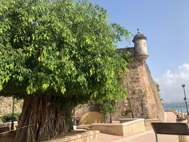 San Juan: Old San Juan Guided Walking Tour - Final Thoughts  