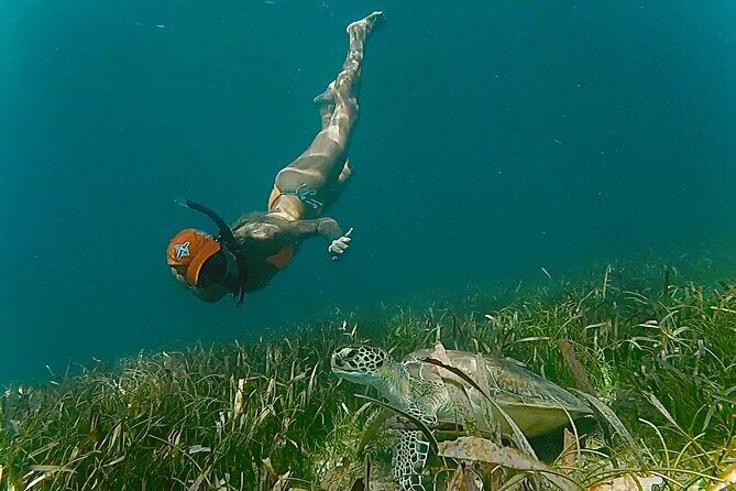 San Juan Snorkel with Turtles and Manatee's; Free Video and Rum! - The Sum Up