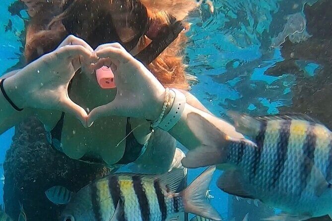 San Juan: Snorkeling with Turtles Adventure and Free Videos - FAQs