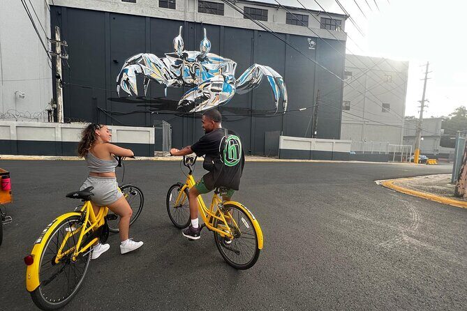 San Juan Urban Art Bike Tour 2 Hour and 4 Hour Options - A Journey Through Puerto Rican Street Art and Neighborhoods