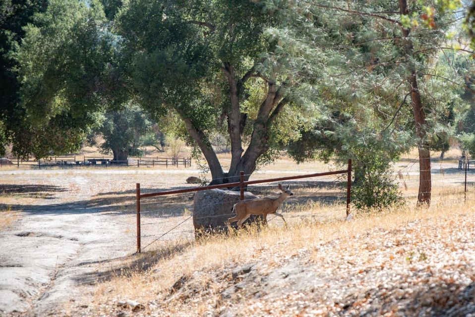 San Luis Obispo: Margarita Ranch Foraging Tour - Key Points