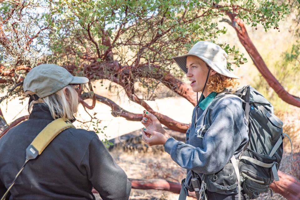 San Luis Obispo: Margarita Ranch Foraging Tour - Nutritional and Beverage Uses
