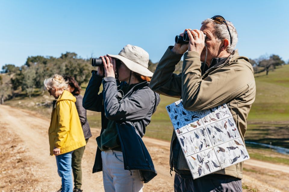 San Luis Obispo: Santa Lucia Guided Nature Tour by Hummer - Discovering Native Plant Life