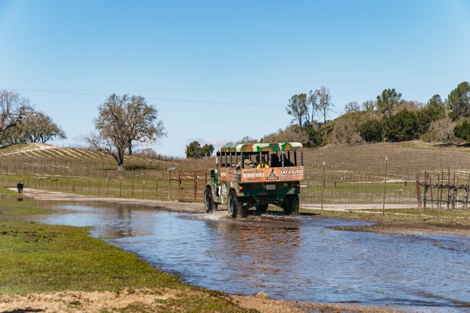 San Luis Obispo: Santa Lucia Guided Nature Tour by Hummer - Navigating Thousand-Year-Old Terrain