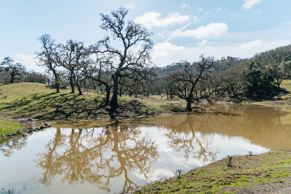 San Luis Obispo: Santa Lucia Guided Nature Tour by Hummer - Small Group Tour Experience