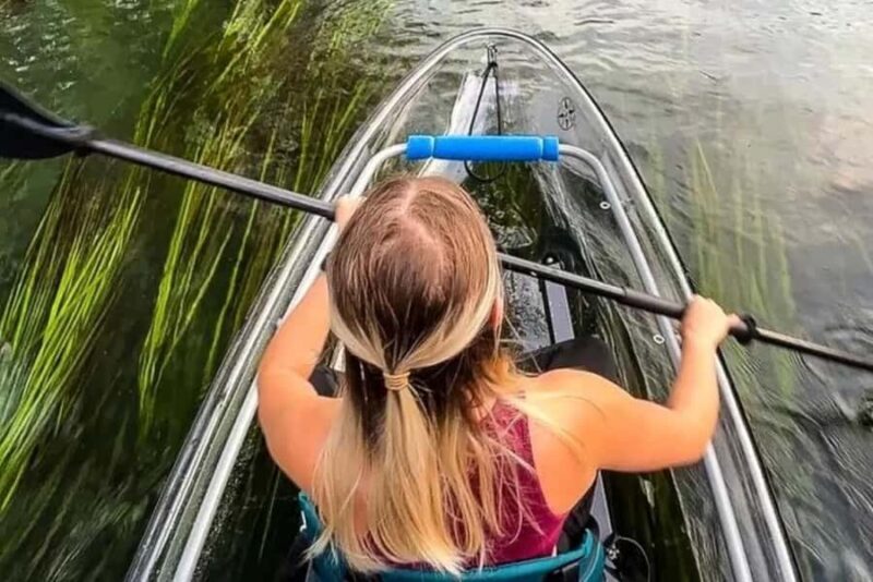 San Marcos: Clear Kayak Eco Tour on Spring-Fed River - Key Points