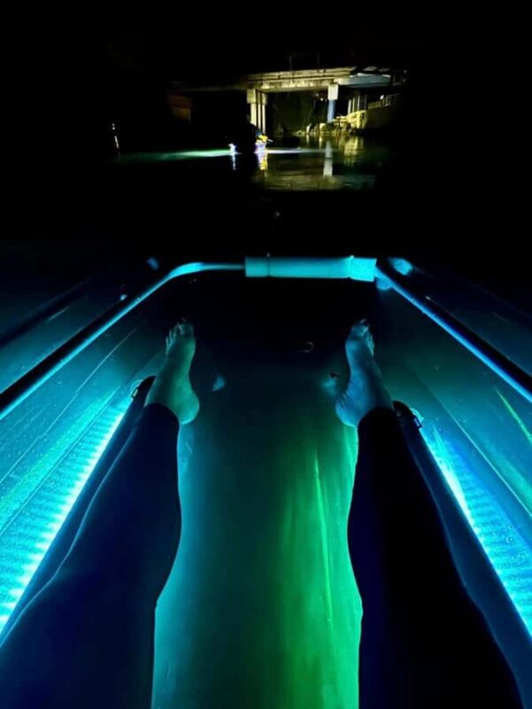 San Marcos: Clear Kayak Eco Tour on Spring-Fed River - What Travelers Say: Authentic Perspectives