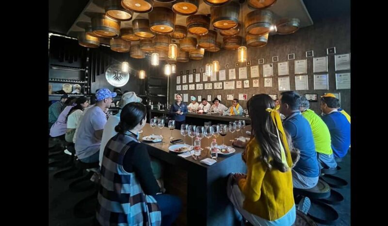 San Miguel Allende: Guanajuato Wine Route vineyard tour - The Itinerary: What to Expect