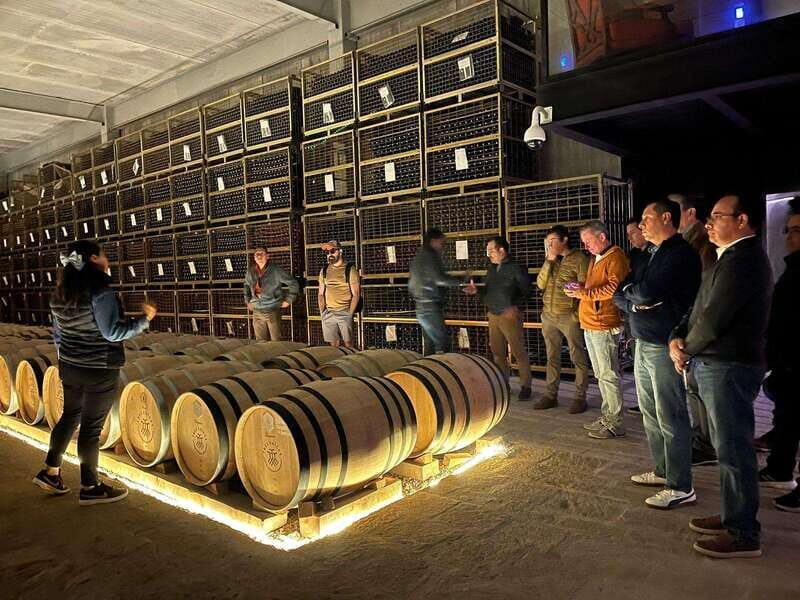 San Miguel Allende: Guanajuato Wine Route vineyard tour - Authenticity and Insider Tips