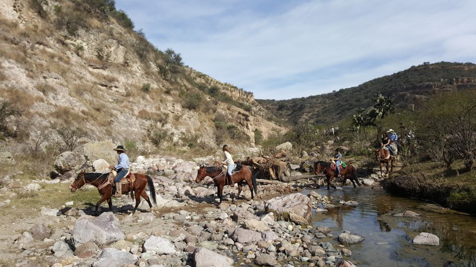 San Miguel Allende: Half-Day Horseback Riding Adventure - Guided Horseback Riding Instruction