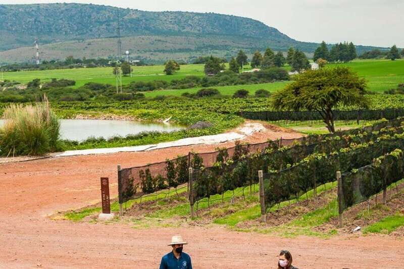 San Miguel de Allende: 3 or 5-Course Menu & Wine Pairing - Who Will Love This Tour?