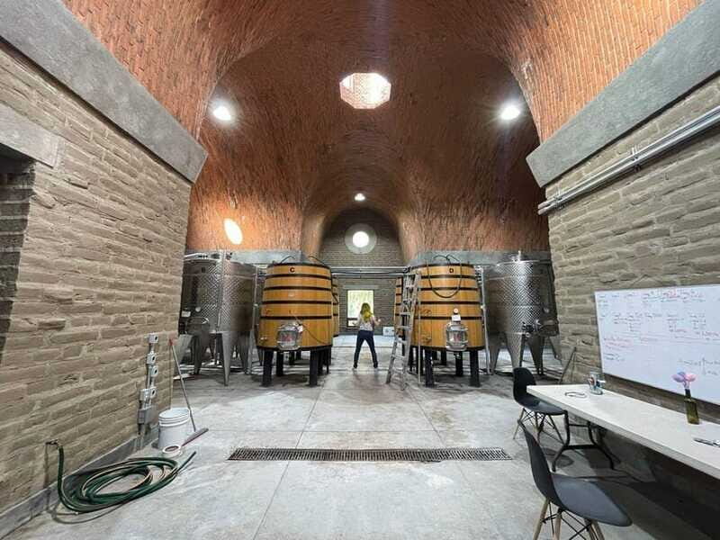 San Miguel de Allende: A Journey Through Vineyards - Key Points