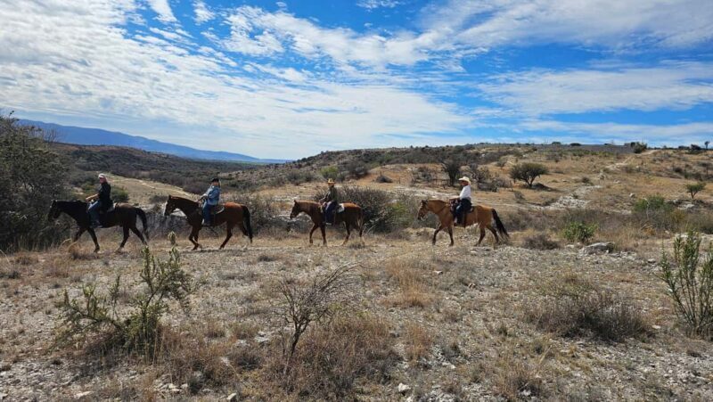 San Miguel de Allende: Breakfast Horseback Ride To Nirvana - Final Thoughts