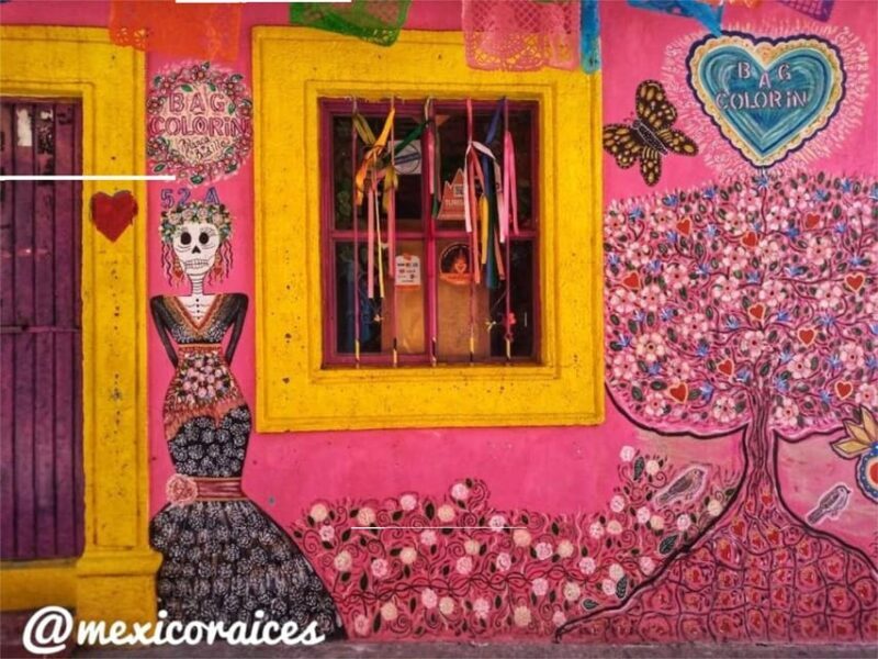 San Miguel de Allende: Dia de Muertos Traditions Guided Tour - Key Points