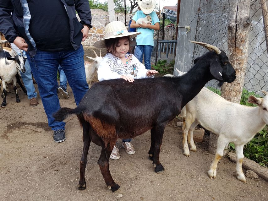 San Miguel De Allende: Full-Day Ranch Adventure - Booking and Cancellation