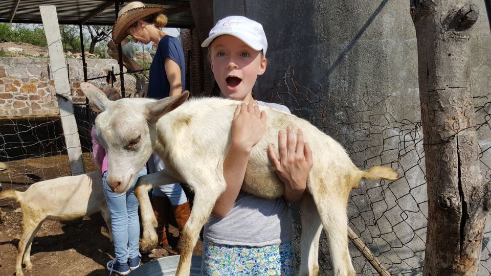 San Miguel De Allende: Full-Day Ranch Adventure - Frequently Asked Questions