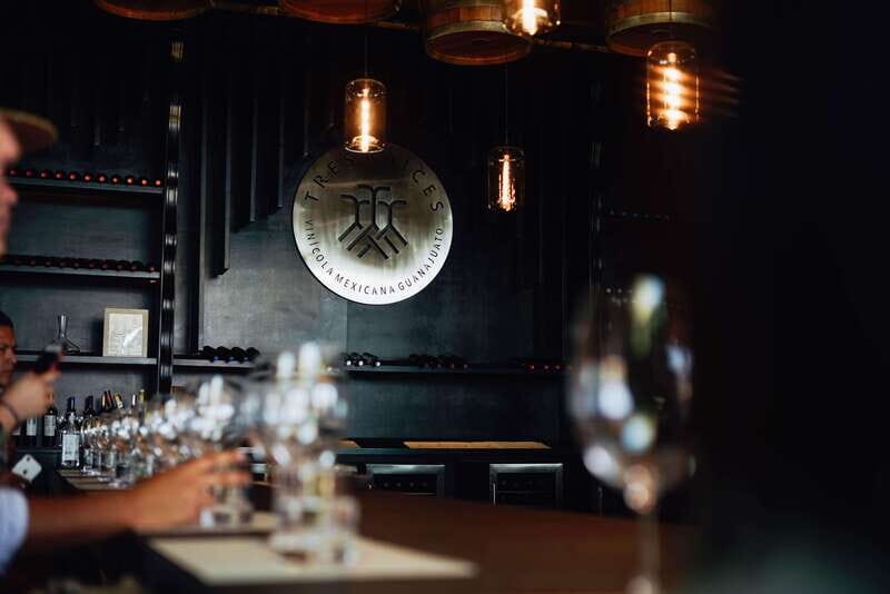 San Miguel de Allende: Independence Valley Wine Route - A Detailed Look at the Wine Route Experience