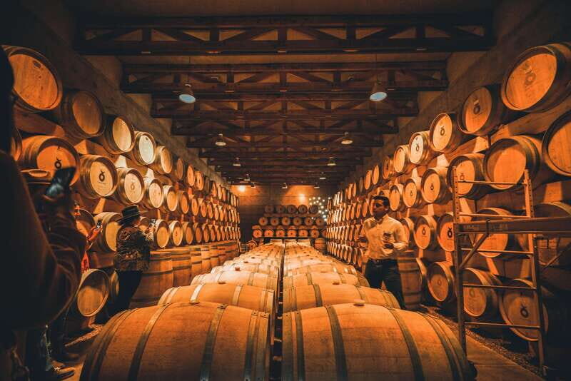 San Miguel de Allende: Independence Valley Wine Route - The Sum Up