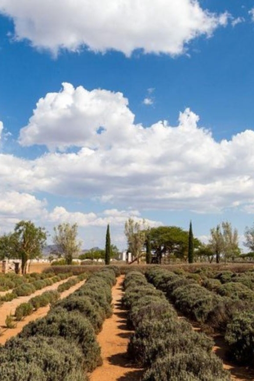 San Miguel De Allende: Mineral De Pozos & Abandoned Mine Tour - Inclusions