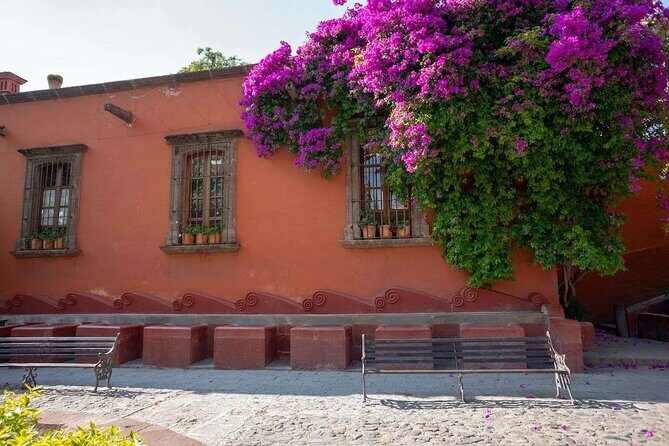 San Miguel de Allende Walking Tour - Who Will Benefit From This Tour?